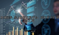 线上炒股配资平台：高杠杆下的冒险之旅